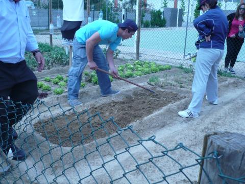 Preparação de terreno para plantar pimenteiros.
